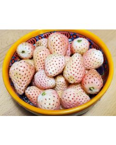 Strawberry 'Pineberry F2' Seeds