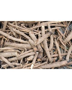 Burdock Seeds (Naturally Grown)