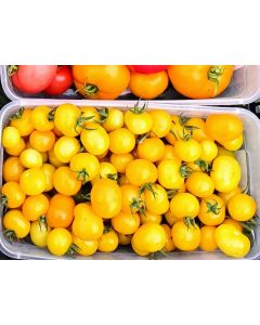 Tomato 'Ester Hess Yellow Cherry'