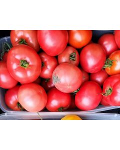 Tomato 'Eva Purple Ball' Seeds (Naturally Grown)