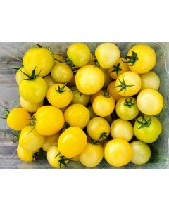 Tomato 'Dr. Carolyn' Seeds (Naturally Grown)