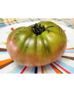 Tomato 'Amazon Chocolate'