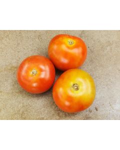 Tomato 'Tomcat F2' Seeds (Naturally Grown)