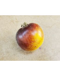 Tomato 'Wooly Kate'