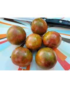 Tomato 'Black Zebra'