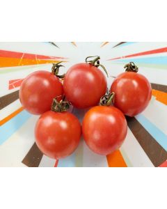 Tomato 'Pink Sprinkles' Seeds (Naturally Grown)