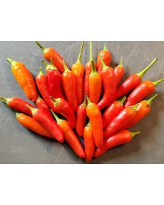 Hot Pepper ‘Thicc Thai’ Seeds (Naturally Grown)