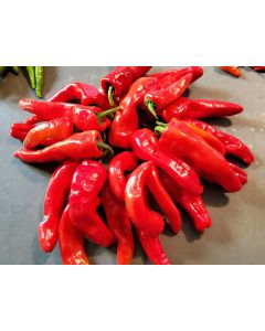 Sweet Pepper 'Melrose’ Seeds (Naturally Grown)