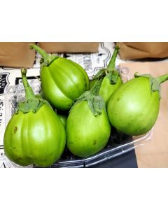 Eggplant ‘Saitama Ao Daimaru’ Seeds (Naturally Grown)