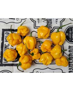 Hot Pepper 'Papa Dreadie Scotch Bonnet' Seeds (Naturally Grown)