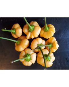 Mild Pepper 'Peppapeach' AKA 'Peachadew' Seeds (Naturally Grown)