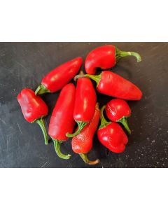 Hot Pepper ‘TAM Jalapeno’ Seeds (Naturally Grown)