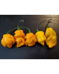 Hot Pepper 'Lemon Ghostly Jalapeno' Seeds (Naturally Grown)