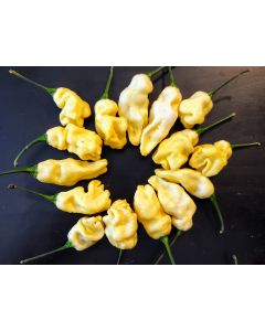 Hot Pepper 'White Ghostly Jalapeno' Seeds (Naturally Grown)
