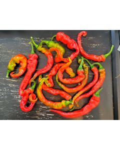 Hot Pepper ‘Hangjiao #5 (HJ5) Helix Nebula Space Chili’ Seeds (Naturally Grown)