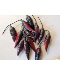 Hot Pepper ‘Biquinho Black Cross' Seeds (Naturally Grown)