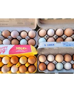 Farm Fresh Eggs Howell, Michigan