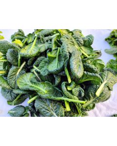 Chijimasai Seeds (Naturally Grown)