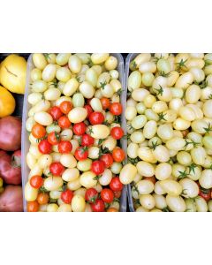 Tomato 'Open School Yellow' Seeds (Naturally Grown)