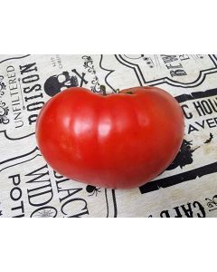 Tomato 'Sunset's Red Horizon' Seeds (Naturally Grown)