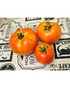 Tomato 'Debut F2' Seeds (Naturally Grown)