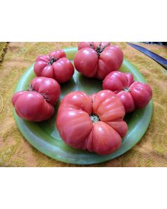 Tomato 'Tobolsk' (Pink Variant) Seeds (Naturally Grown)