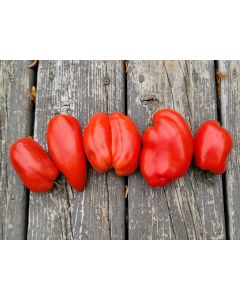 Tomato 'Federle' Seeds (Naturally Grown)