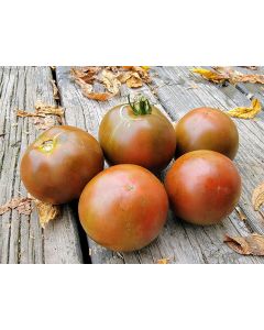 Tomato 'Brazilian Beauty' Seeds (Naturally Grown)