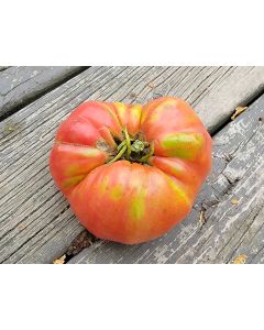 Tomato 'Mrs. Maxwell's Big Italian' Seeds (Naturally Grown)
