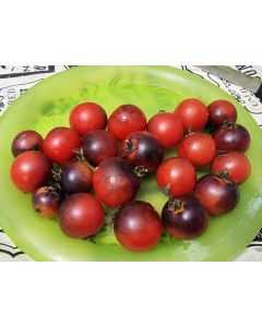 Tomato 'Fahrenheit Blues' Seeds (Naturally Grown)