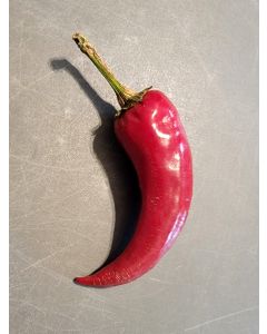 Hot Pepper 'Edes Fuszer Paprika' Seeds (Naturally Grown)