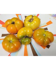 Tomato 'Project Grow Gold' Seeds (Naturally Grown)