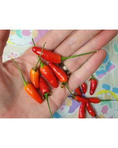 Hot Pepper 'Thai Dragon' Seeds (Naturally Grown)