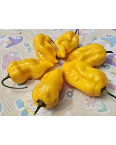 Hot Pepper 'Aji Lemon x Reaper' Seeds (Certified Organic)