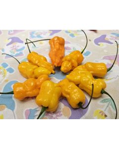 Hot Pepper 'Golden Slimer' Seeds (Naturally Grown)
