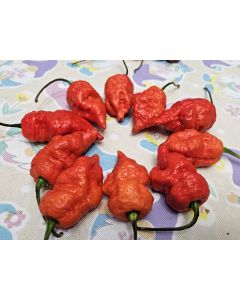 Hot Pepper 'Death Spiral' Seeds (Naturally Grown)