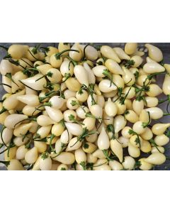 Hot Pepper 'White Chupetinho' Seeds (Naturally Grown)