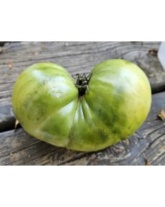 Tomato 'Green Giant' Seeds (Naturally Grown)