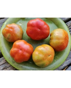 Tomato 'Super Marmande' Seeds (Naturally Grown)
