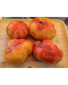 Tomato 'Eye of the Dingo' Seeds (Naturally Grown)
