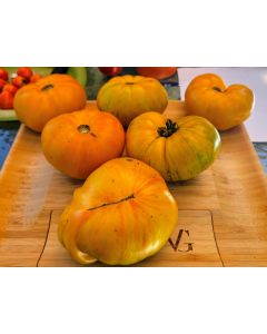 Tomato 'Plan 9 From Outer Space' Seeds (Naturally Grown)