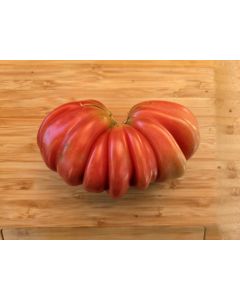 Tomato 'Zapotec Pleated' Seeds (Naturally Grown)