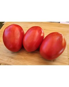 Tomato 'State Fair Beefy Pastes' Seeds (Certified Organic)
