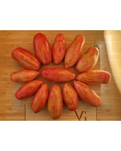 Tomato 'Yellow Tulip' Seeds (Naturally Grown)