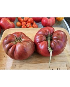 Dwarf Tomato 'Black Angus' Seeds (Naturally Grown)
