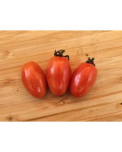 Tomato 'Mini Red Oval TR' Seeds (Naturally Grown) 