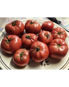 Tomato 'Early Detroit' Seeds (Naturally Grown)