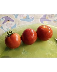 Tomato 'Clifford Red Cherry' Seeds (Certified Organic)