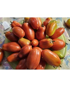 Tomato 'San Marzano Long 2' Seeds (Naturally Grown)