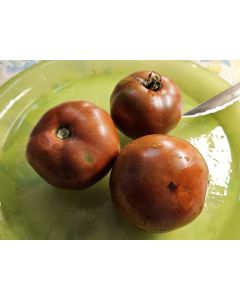 Tomato 'Everett's Rusty Brown' Seeds (Naturally Grown)